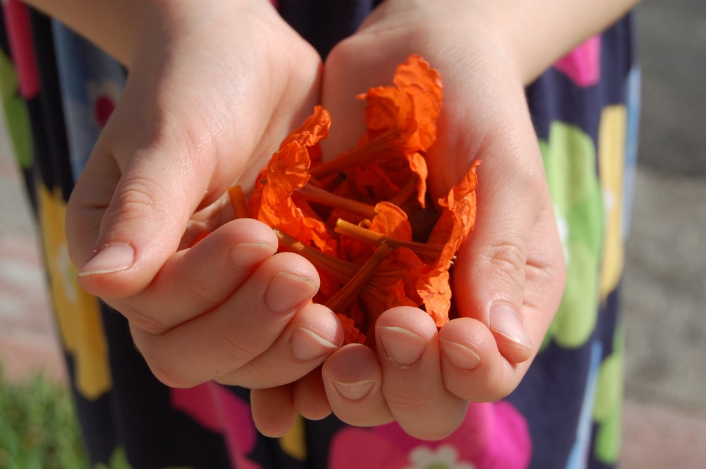 nature treasures