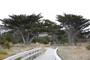 DSC_0249 DSC_0249