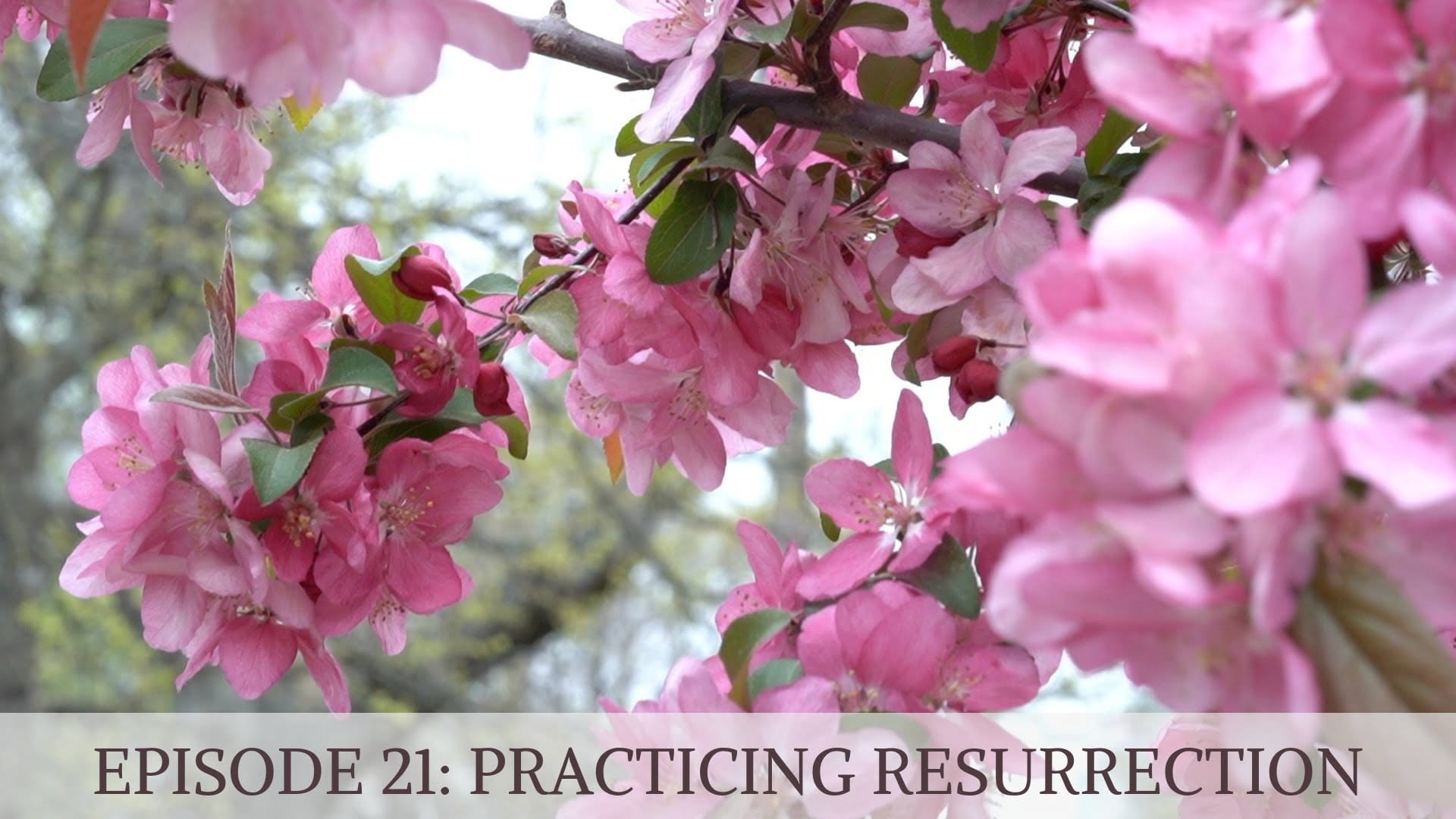 Episode 21 PRACTICING RESURRECTION 3 Tea Circle